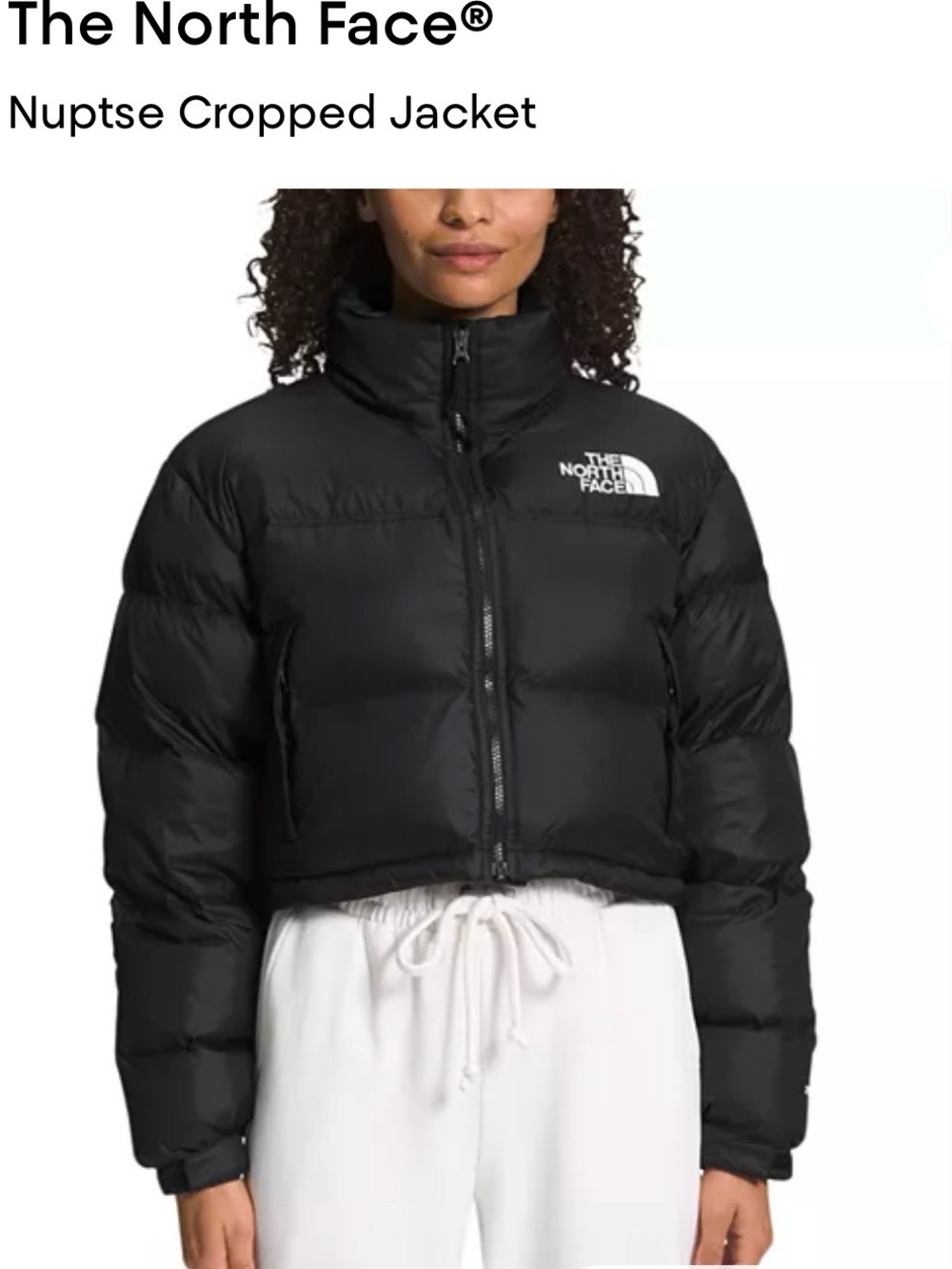 The North Face 700 Fill Down Puffer Nuptse Cropped Jacket - Black XS